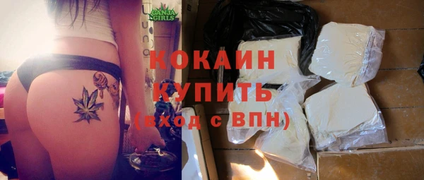 крисы Абдулино